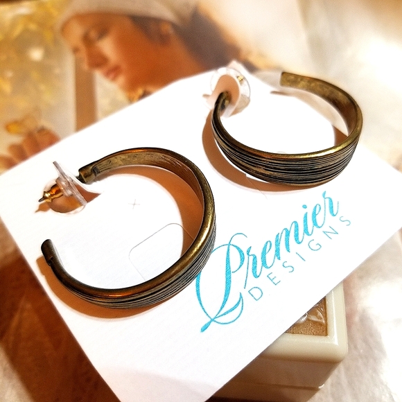 NEW Premier Designs Antiqued Brass Textured Hoop Earrings - Picture 4 of 6